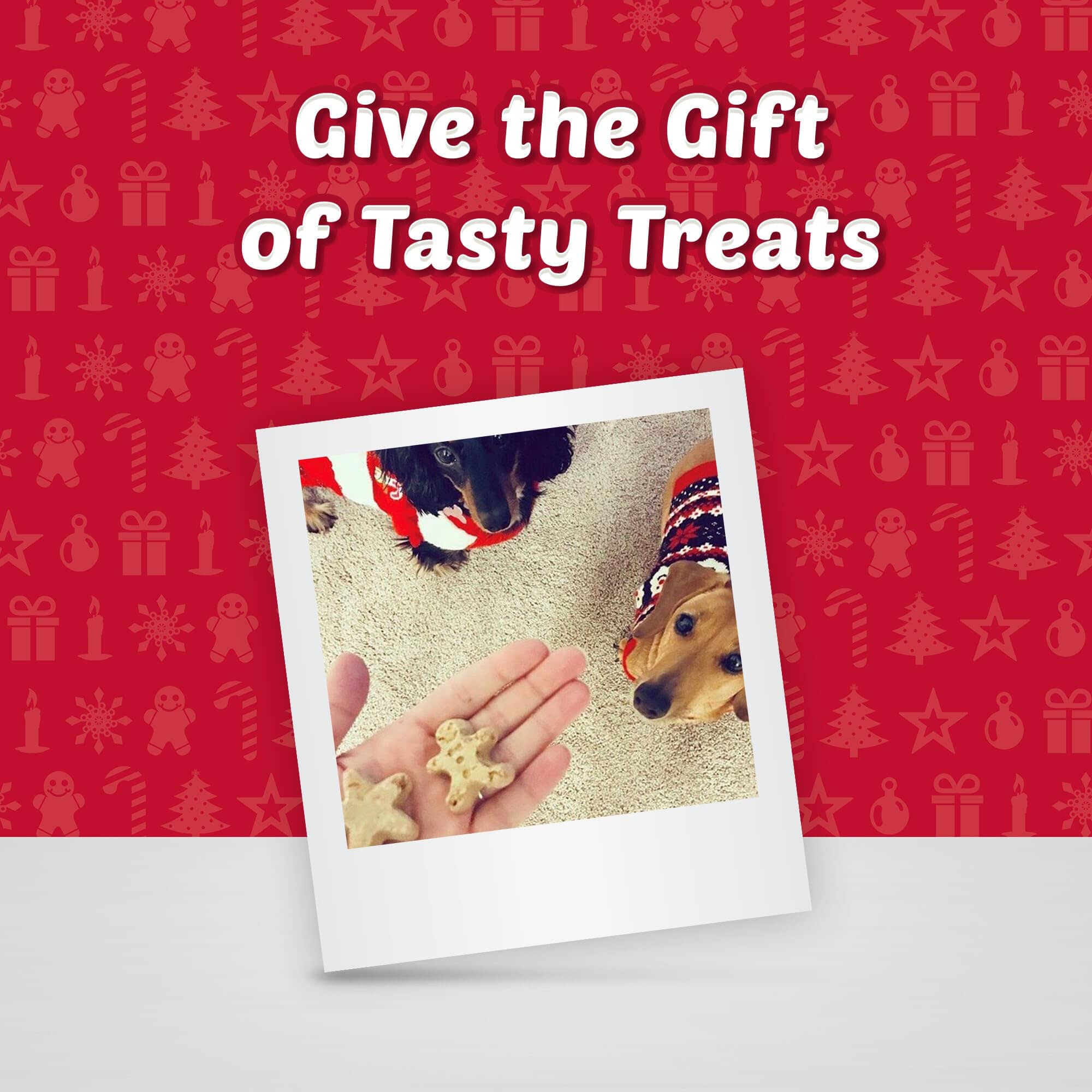 Blue Buffalo Santa Snacks Crunchy Biscuit Dog Treats - 11 Oz  