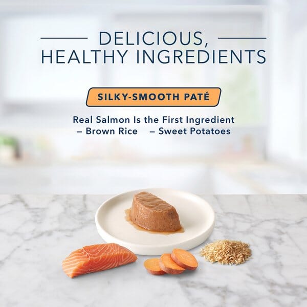 Blue Buffalo Tasteful Spoonless Singles Adult Salmon Pate Wet Cat Food - 2.6 Oz - 10 Trays