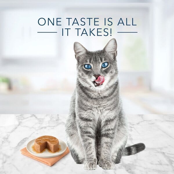 Blue Buffalo Tastefuls Adult Chicken Pate Entrée Canned Cat Food - 5.5 Oz - Case of 12