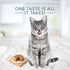 Blue Buffalo Tastefuls Adult Chicken Pate Entrée Canned Cat Food - 5.5 Oz - Case of 12
