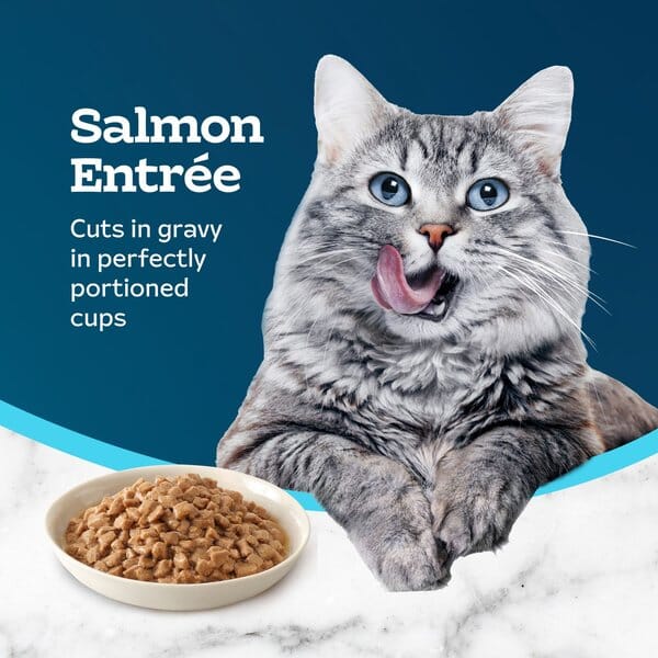 Blue Buffalo Tastefuls Savory Singles Adult Salmon Cuts in Gravy Wet Cat Food - 2.6 Oz - 10 Trays
