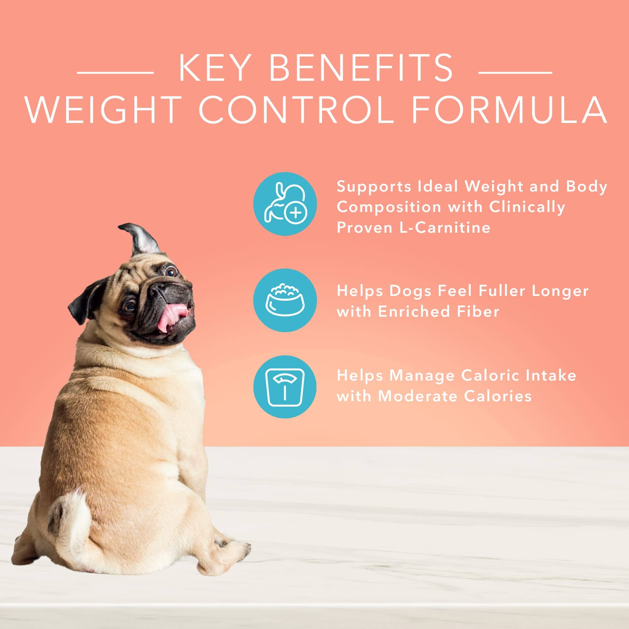 Blue Buffalo True Solutions Healthy Weight Chicken Dry Dog Food - 4 Lbs  
