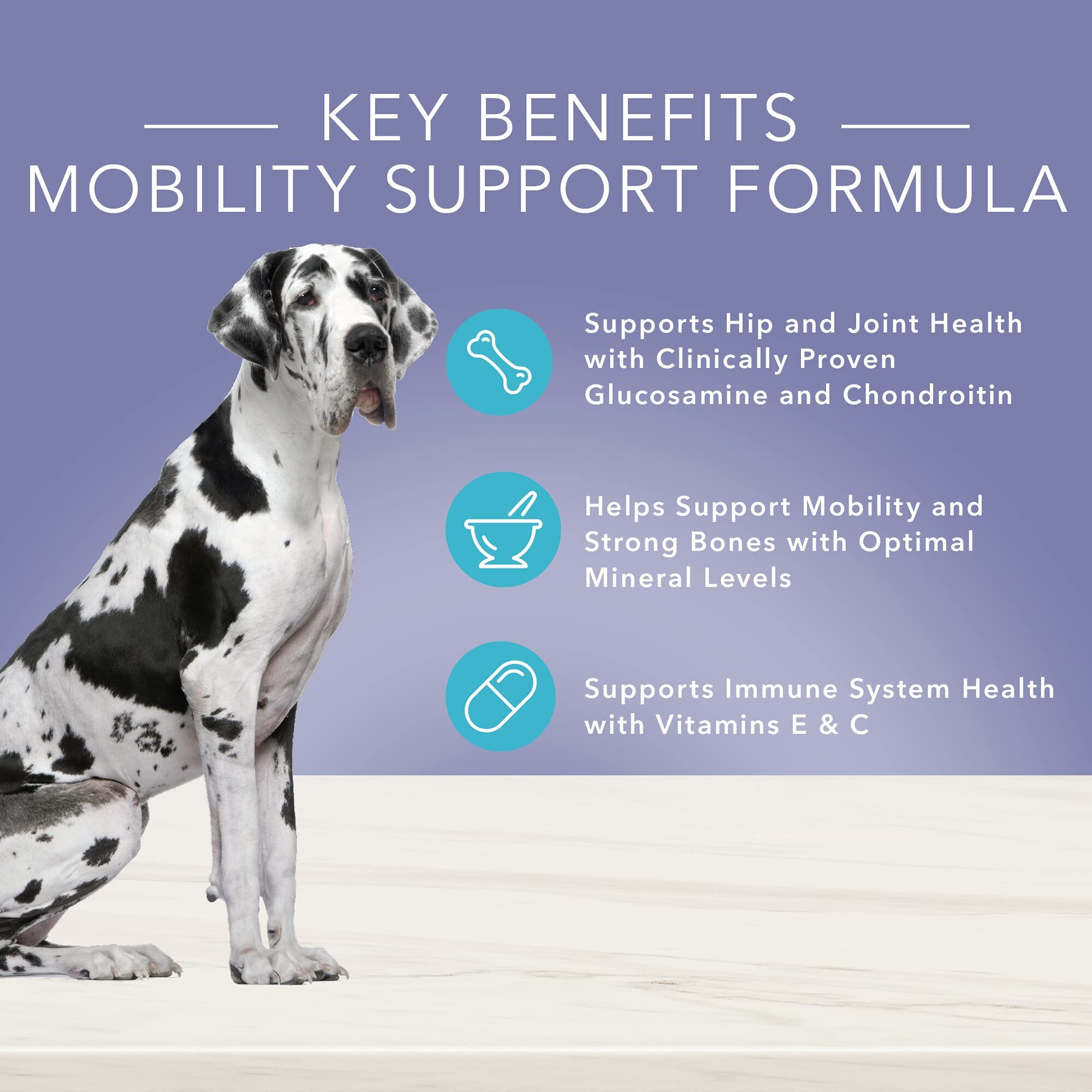 Blue Buffalo True Solutions Jolly Joints Adult Mobility Support Chicken Dry Dog Food  
