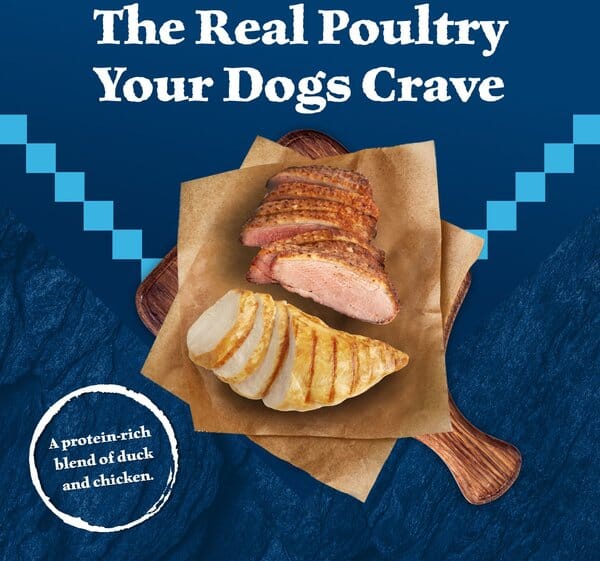 Blue Buffalo Wilderness Adult High-Protein Grilled Duck and Chicken Canned Dog Food - 12.5 Oz - Case of 12