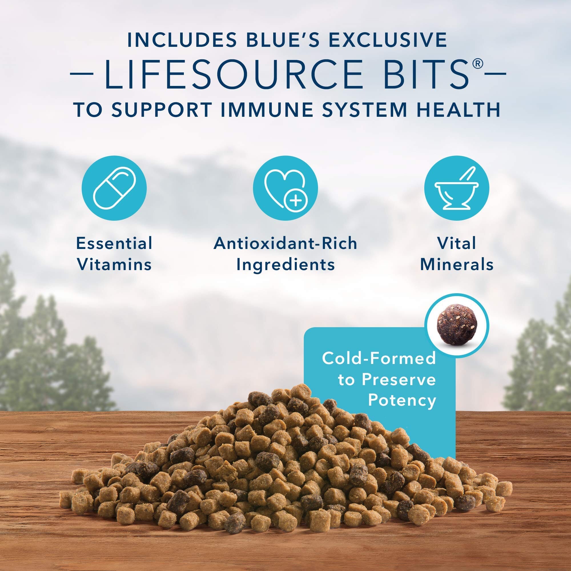 Blue Buffalo Wilderness Adult High-Protein Salmon Dry Cat Food  