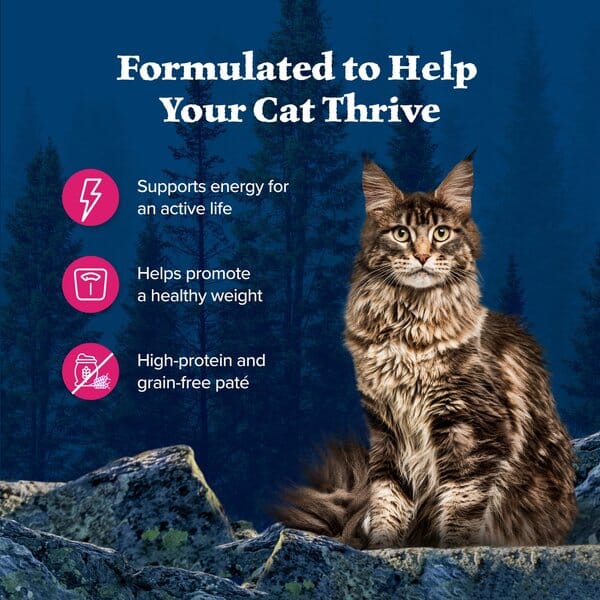 Blue Buffalo Wilderness High-Protein Salmon Wet Cat Food - 5.5 Oz - Case of 24