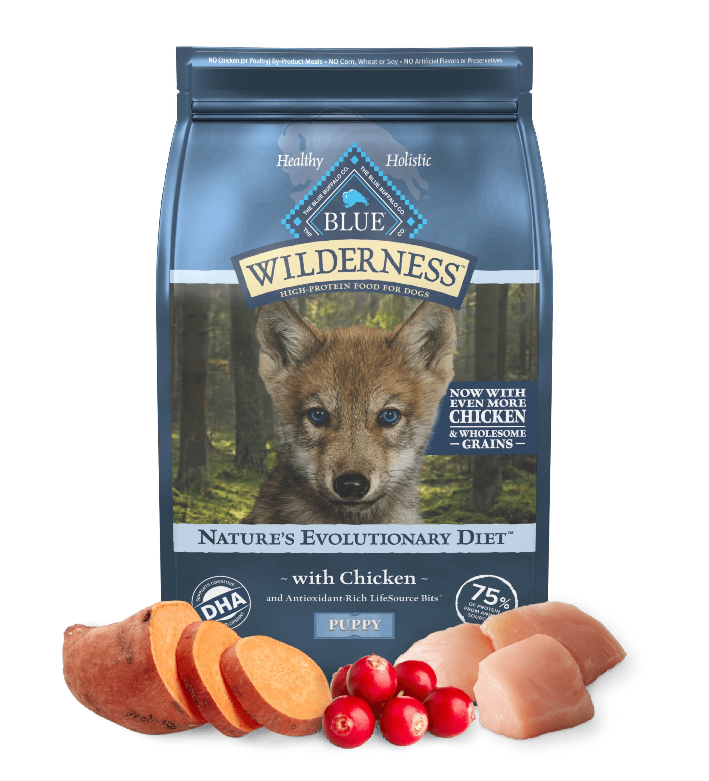 Blue Buffalo Wilderness Puppy High-Protein Natural Chicken with Wholesome Grains Dry Dog Food - 13 Lbs