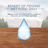 Blue Buffalo Wilderness Rocky Mountain Recipe Grain-Free Puppy Canned Dog Food - 12.5 Oz - Case of 12  