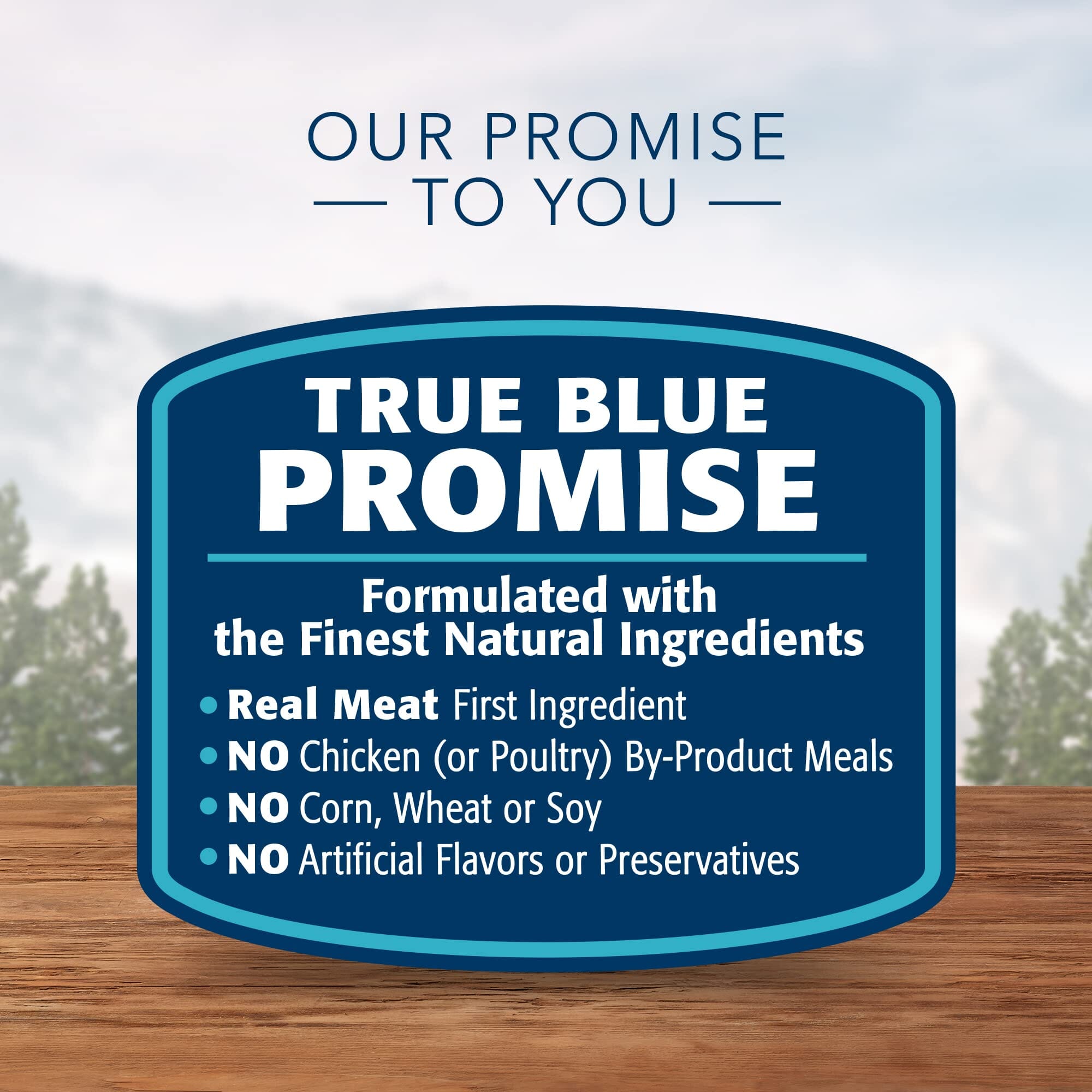 Blue Buffalo Wilderness Rocky Mountain Recipe Grain-Free Puppy Canned Dog Food - 12.5 Oz - Case of 12  