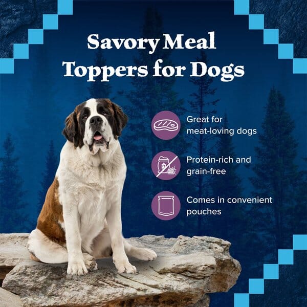 Blue Buffalo Wilderness Trail Toppers Wild Cuts Beef and Gravy Canned Dog Food - 3 Oz - Case of 24