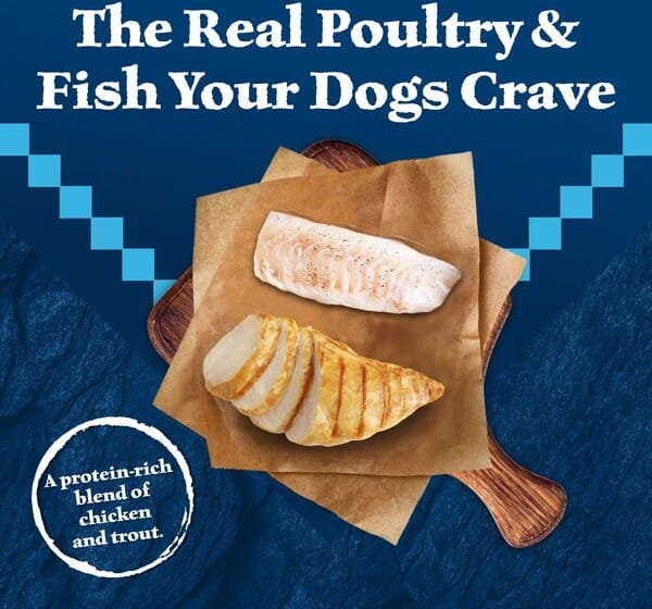 Blue Buffalo Wilderness Trout and Chicken Canned Dog Food - 12.5 Oz - Case of 12