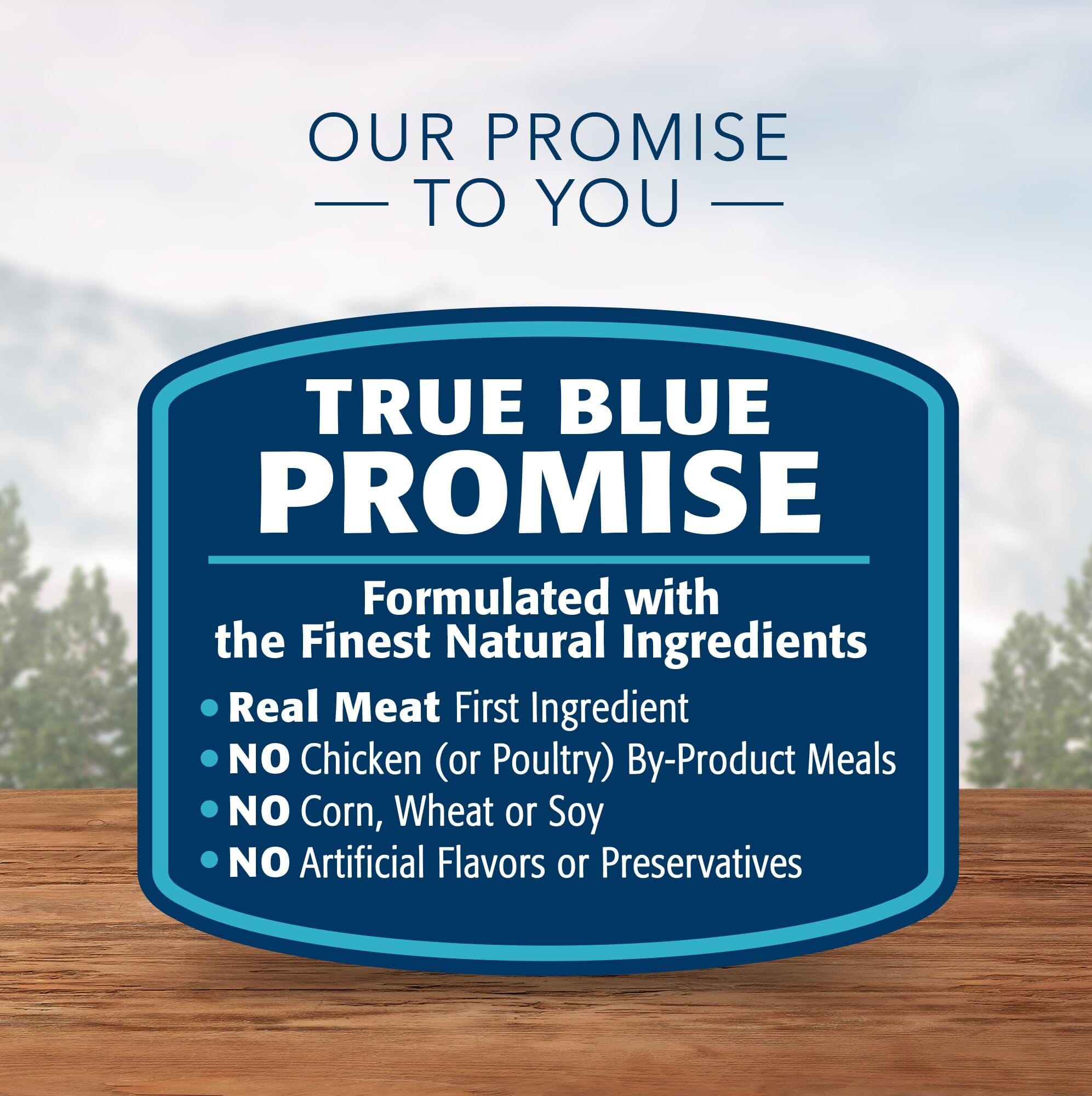 Blue Buffalo Wilderness Wild Chicken and Gravy Canned Dog Food - 3 Oz - Case of 24