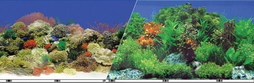 Blue Ribbon Double-Sided Garden/Carribbean Coral Aquarium Background - 19 In X 50 Ft