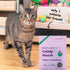 Bocce's Bakery Made in USA Crispy Chikn Limited Ingredient Diet Chicken and Carrots Crunchy Cat Treats - 2 Oz