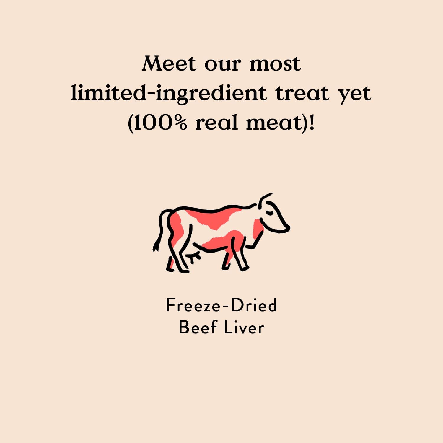 Bocce's Bakery Made in USA Limited Ingredient Diet Beef Liver Freeze-Dried Dog Treats - 3 Oz