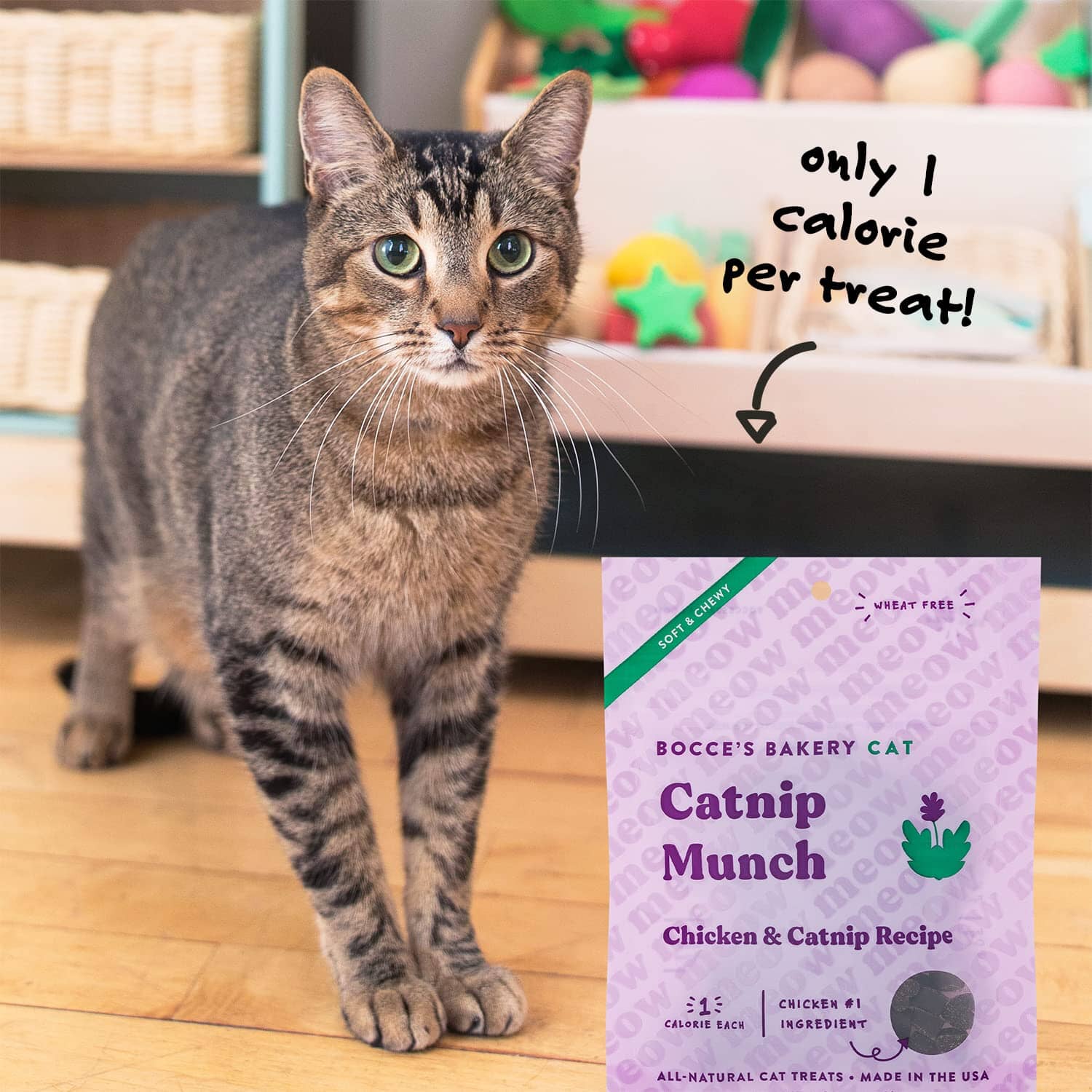 Bocce's Bakery Made in USA One Fish Two Fish Limited Ingredient Diet Seaweed and Salmon Crunchy Cat Treats  - 2 Oz