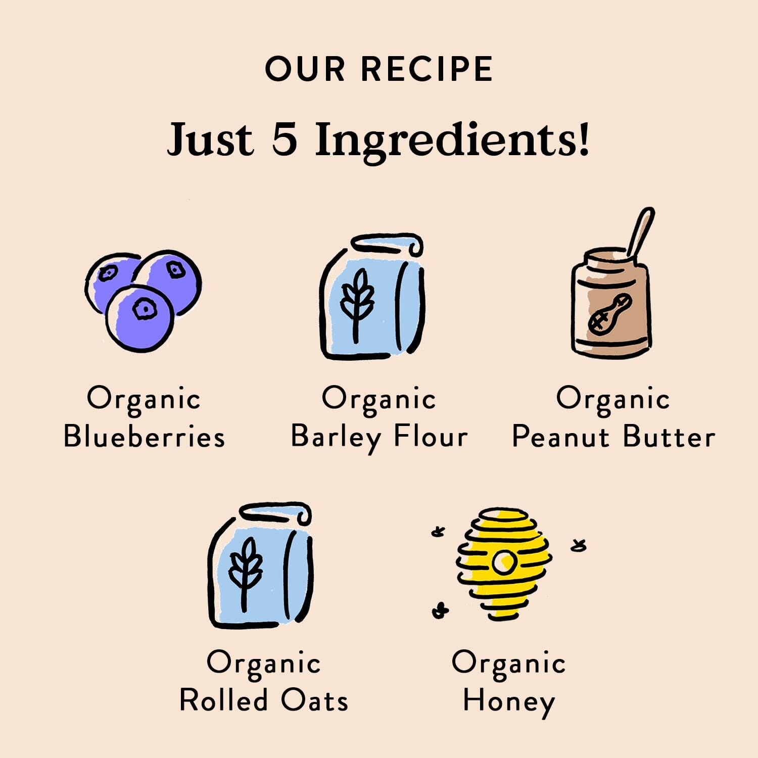 Bocce's Bakery Made in USA Small Batch Organic Wild 'Berry Biscotti Blueberry Peanut Butter and Honey Biscuit Dog Treats - 12 Oz