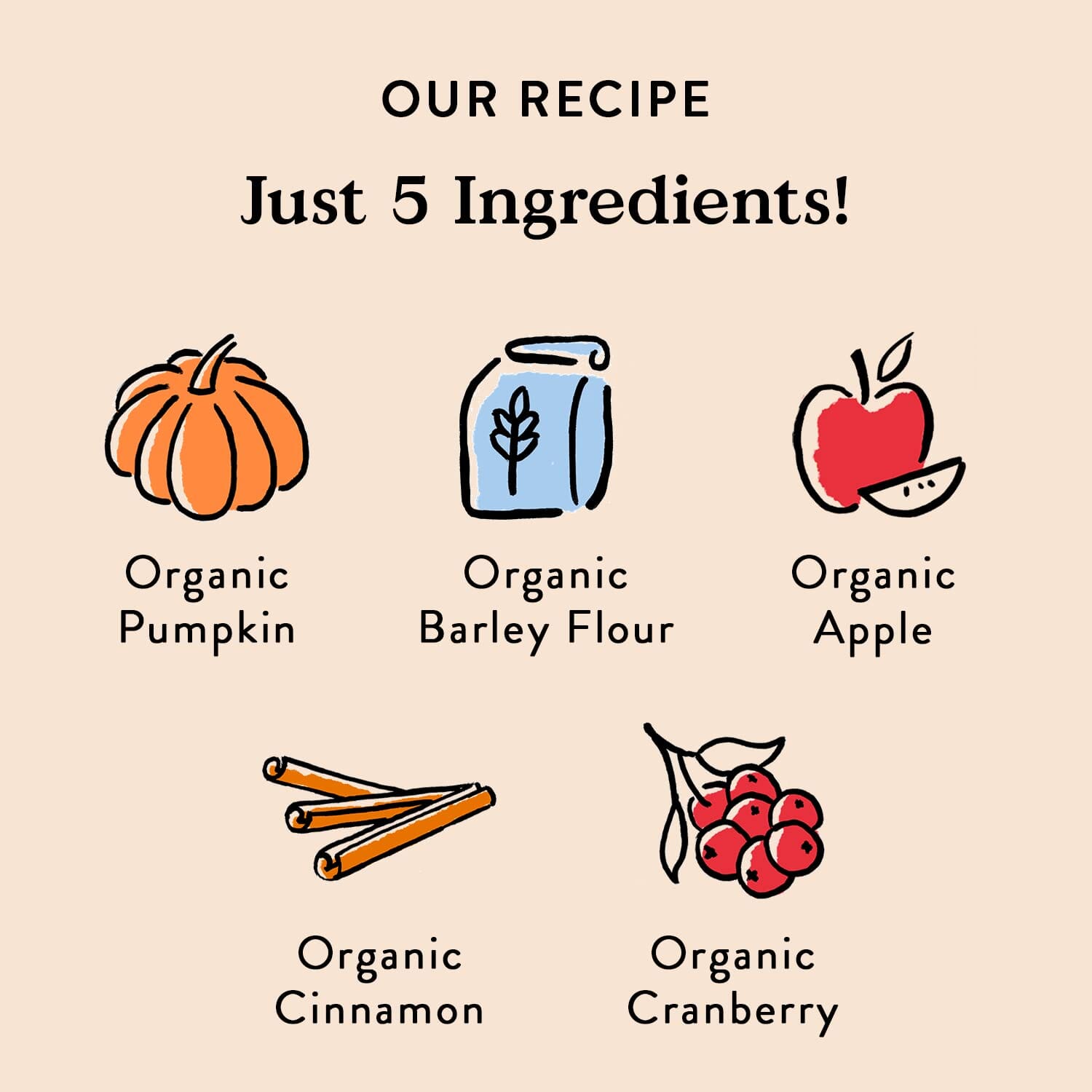 Bocce's Bakery Made in USA Small Batch Pumpk'n Harvest Limited Ingredient Pumpkin Apple and Cranberry Biscuit Dog Treats - 12 Oz