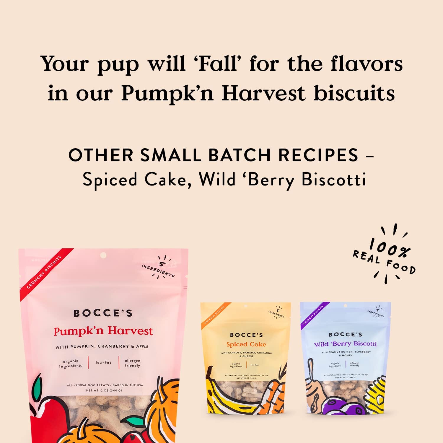 Bocce's Bakery Made in USA Small Batch Pumpk'n Harvest Limited Ingredient Pumpkin Apple and Cranberry Biscuit Dog Treats - 12 Oz