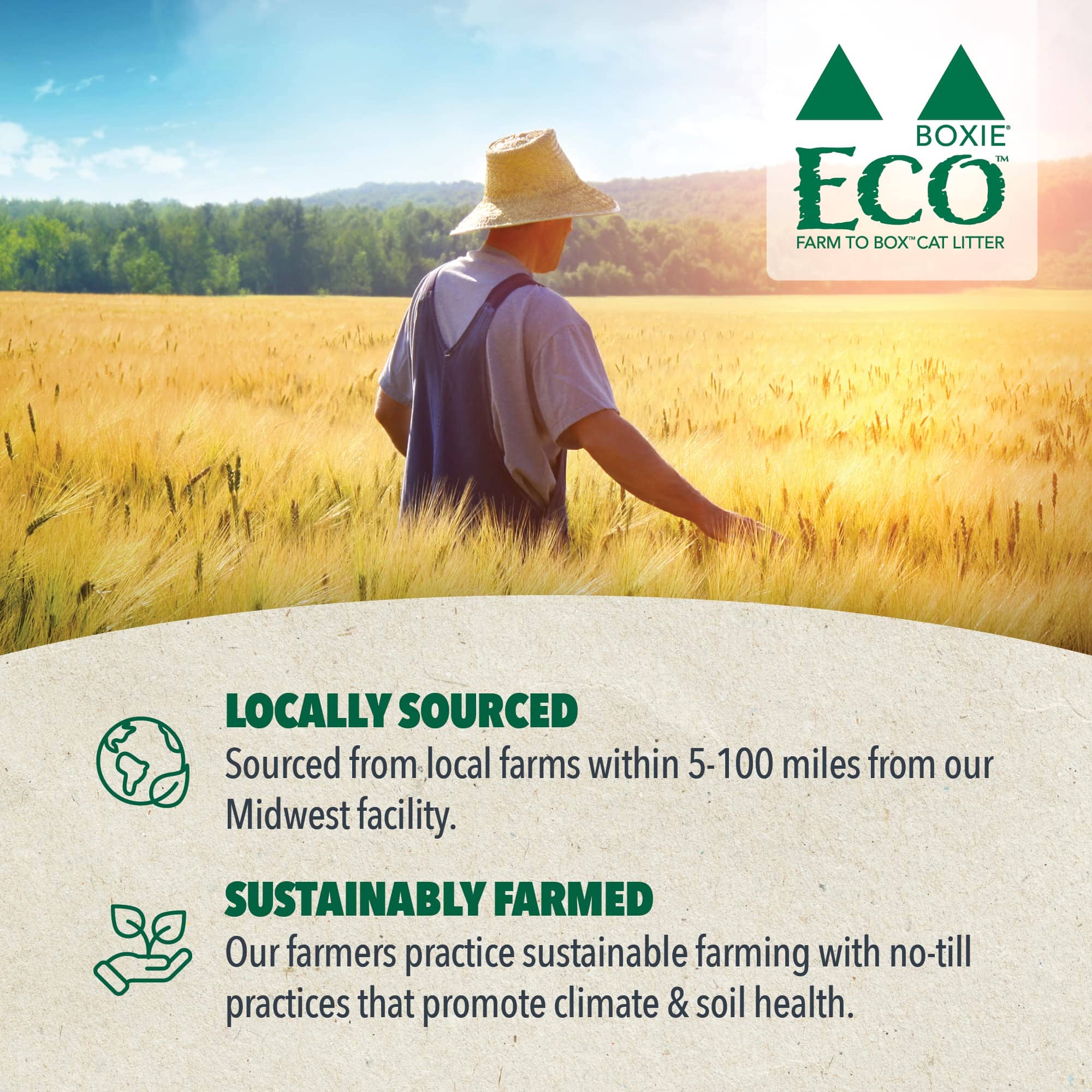 Boxiecat Eco Farm to Box Sustainably Farmed and Sourced Dust-Free Scent-Free Plant Based Kitty Cat Litter - 6.5 Lbs