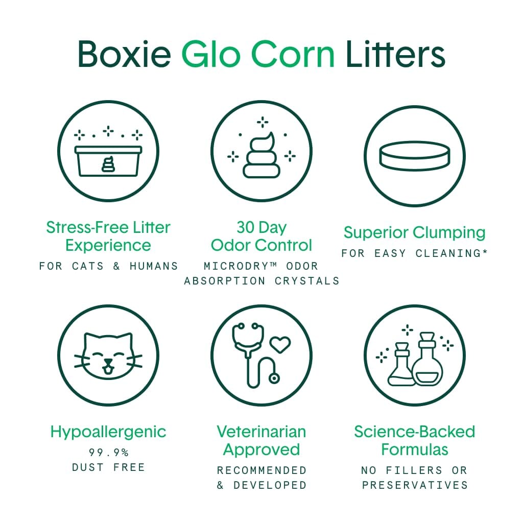 Boxiecat Glo Natural Attractions Dust-Free Odor Control Clumping Clay Kitty Cat Litter