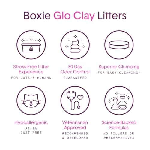 Boxiecat Glo Natural Attractions Dust-Free Odor Control Clumping Clay Kitty Cat Litter