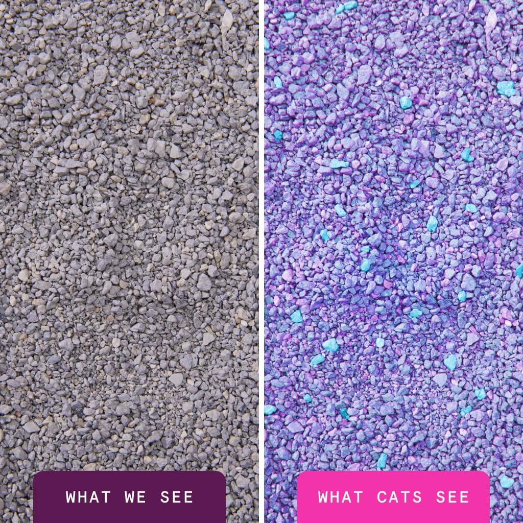 Boxiecat Glo Natural Attractions Dust-Free Odor Control Clumping Clay Kitty Cat Litter