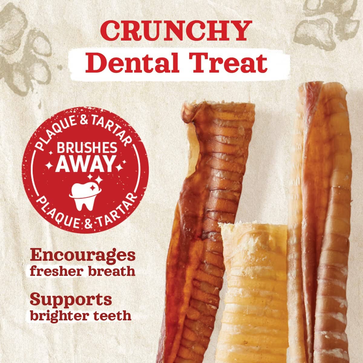 BRAVO! Dry Roasted Beef Trachea Natural Dog Chews - 12 Inch - 20 Pack  