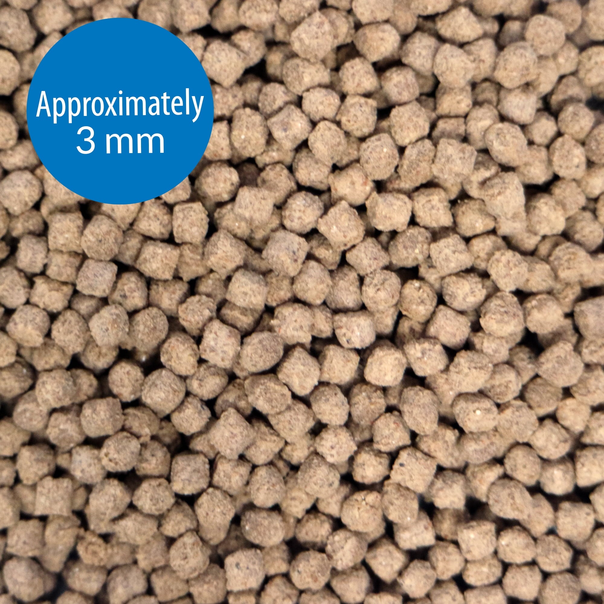 API Bottom Feeder Freeze-Dried Shrimp Pellets Fish Food with Squid - 4 Oz