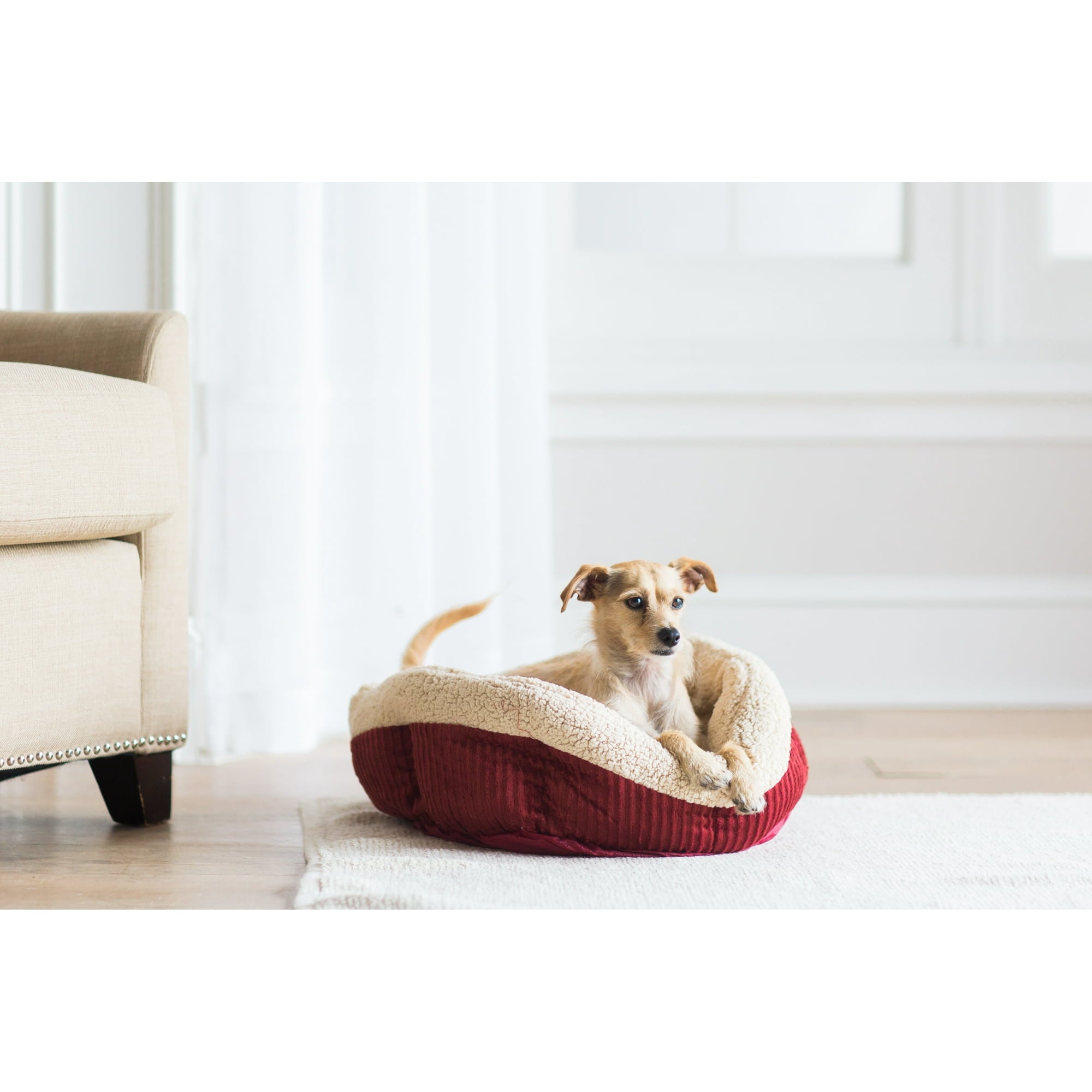 Petmate Aspen Self-Warming Rounded Sherpa Dog Bed - Barn Red/Cream - L:19.5 X W:19.5 X H:7 Inches