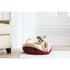Petmate Aspen Self-Warming Rounded Sherpa Dog Bed - Barn Red/Cream - L:19.5 X W:19.5 X H:7 Inches