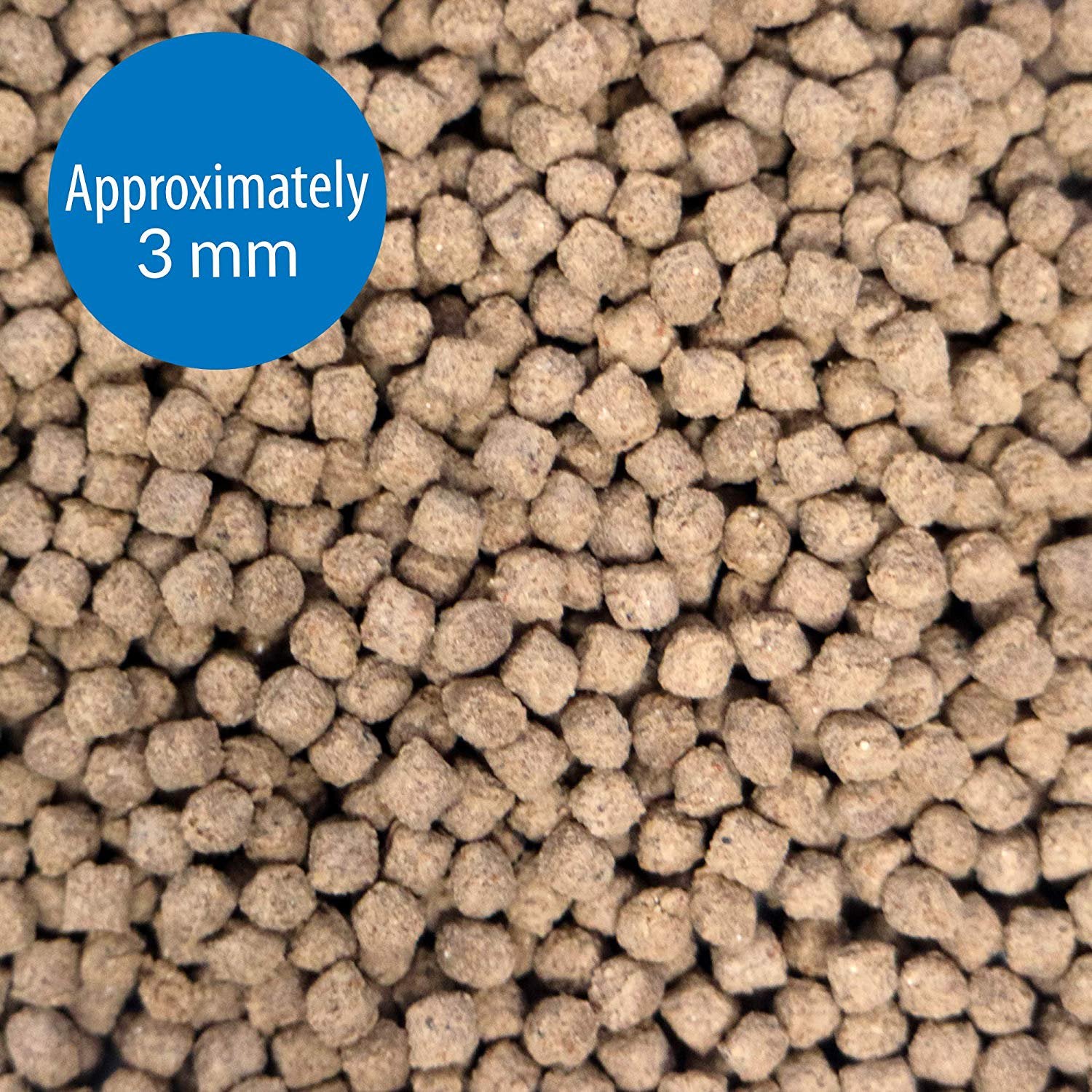 API Bottom Feeder Freeze-Dried Shrimp Pellets Fish Food with Squid - 1.5 Oz