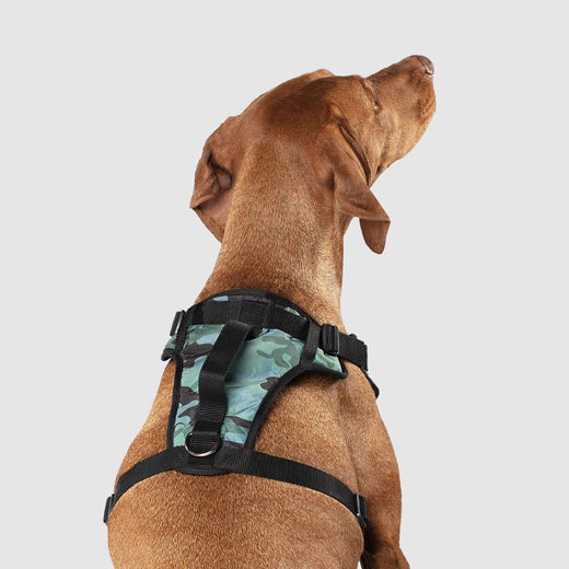 Canada Pooch Core Water-Resistant Everything Dog Harness - Camo