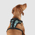 Canada Pooch Core Water-Resistant Everything Dog Harness - Camo