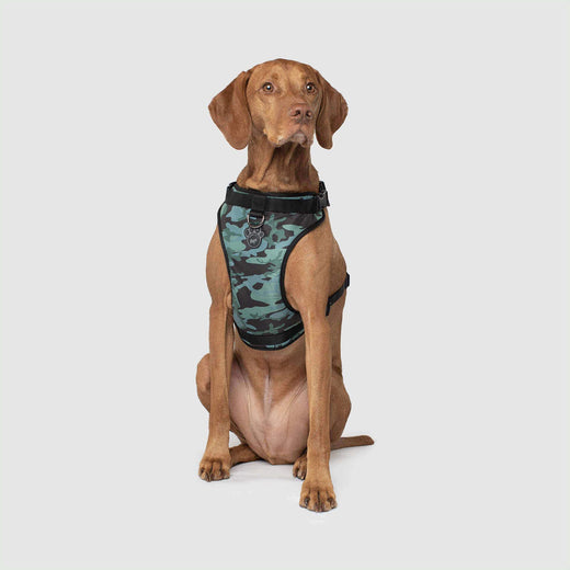 Canada Pooch Core Water-Resistant Everything Dog Harness - Camo