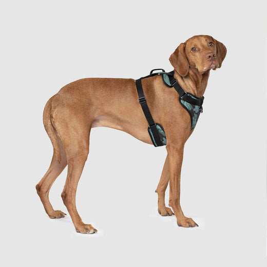 Canada Pooch Core Water-Resistant Everything Dog Harness - Camo