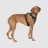 Canada Pooch Core Water-Resistant Everything Dog Harness - Camo