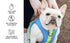 Canada Pooch Chill Seaker Reflective and Cooling Dog Harness