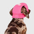 Canada Pooch Chill Seaker We Reveal Cooling Dog Bandana