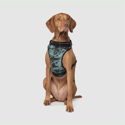 Canada Pooch Core Water-Resistant Everything Dog Harness - Camo