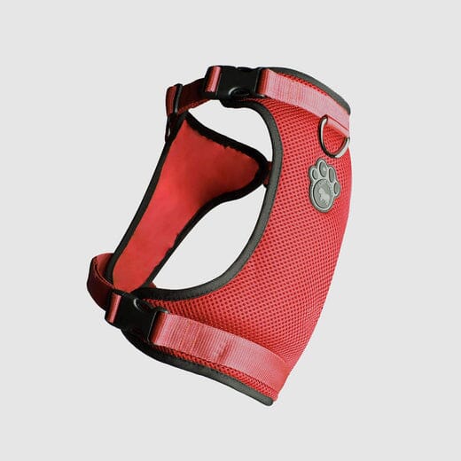 Canada Pooch Core Water-Resistant Everything Mesh Dog Harness