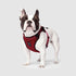 Canada Pooch Core Water-Resistant Everything Mesh Dog Harness