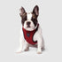 Canada Pooch Core Water-Resistant Everything Mesh Dog Harness