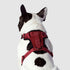 Canada Pooch Core Water-Resistant Everything Mesh Dog Harness