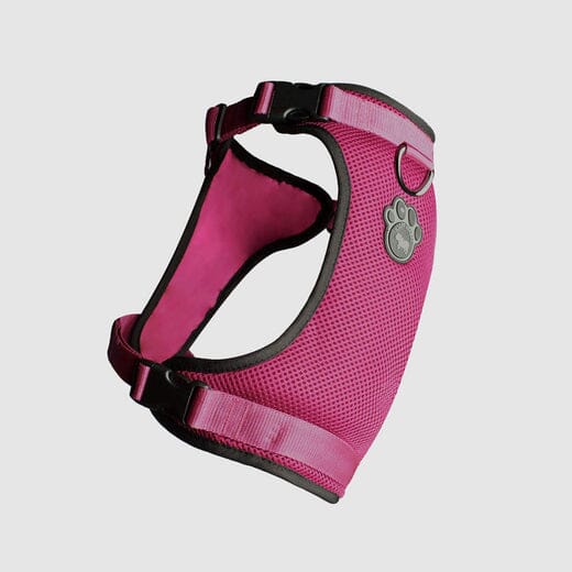 Canada Pooch Core Water-Resistant Everything Mesh Dog Harness