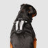 Canada Pooch Core Water-Resistant Everything Mesh Reflective Dog Harness - Gray/Black