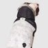 Canada Pooch Eco True North Marble Winter Dog Coat Parka