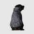 Canada Pooch Expedition 2.0 Thermal Reflective Winter Dog Coat