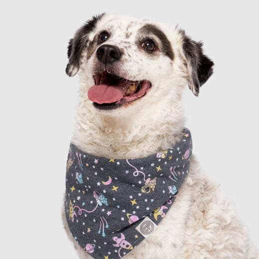 Canada Pooch Follow Me Outerspace Dog Bandana