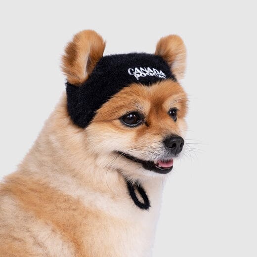 Canada Pooch Pawparazzi Beanie Dog Hat - Black